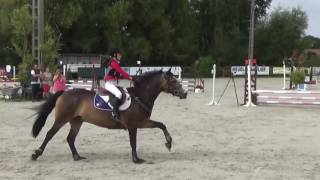 CSO - Hazebrouck - P2 - Marie & Quiksilver - 140816