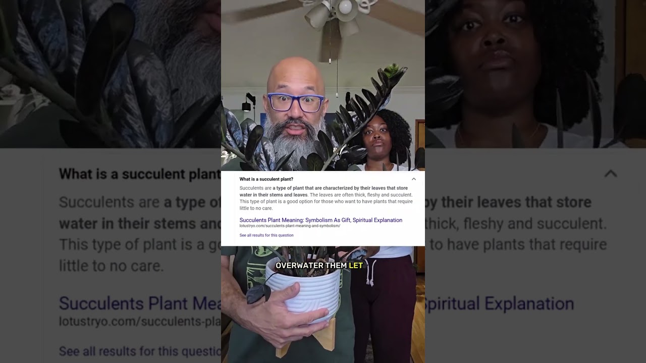 🖤 Check the bio to join  the Misfits and Match plant lab and get more in depth with plant science.