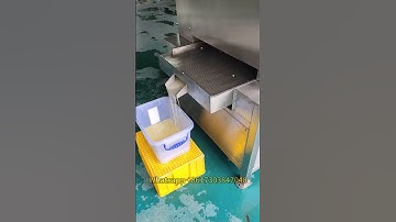 Citrus Fruit Juicing Machine | Lemon Juice Extractor