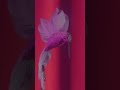 new album means new video the official video for discount de kooning is out now go give it a watch