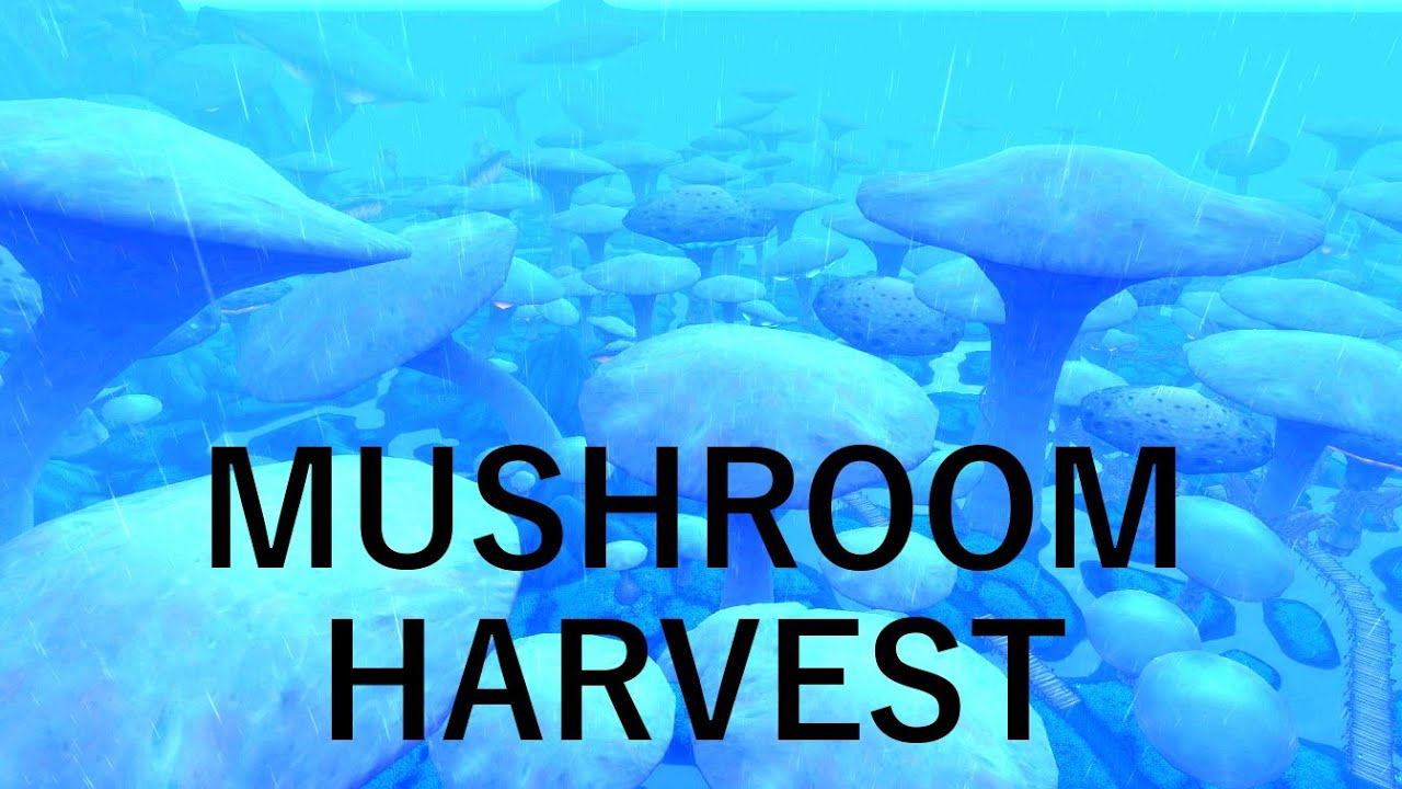 Mushroom Harvest 