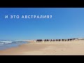 Австралия: Песчаные дюны. Anna Bay NSW. Египет в Австралии.