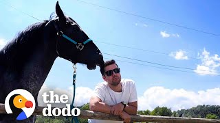 This Horse Fell In Love With Her Mom's Boyfriend | The Dodo