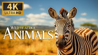 Savannah Stories: Tales Of Survival And Triumph In Africa's Wildlife