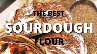 Yecora Rojo - The Best Sourdough Flour screenshot 4