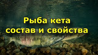 Чем полезна кета ? В чем ее особенность  и можно ли ее употреблять в пищу?