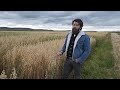 Северный овёс — забытая сельхозкультура, вновь обретающая популярность