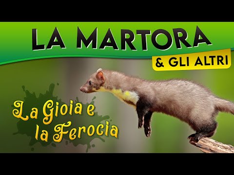 La Martora e gli altri: la gioia e la ferocia ► Puntata 48