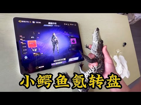 【使命召唤手游】让小鳄鱼氪转盘是一种什么体验？#刘氓