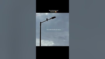 Thumbnail of Tere Jeha • Talwiinder • Aesthetic Status #shorts #youtubeshorts #punjabisong