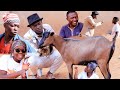 Kudandaza Imbwa Habonetse Isoko Y Imbwa Burundi Rwanda Therealnyaxocomedy