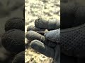 Does anyone know what this is? 🕵️♂️#metaldetecting #treasurehunt #treasurehunting #treasure