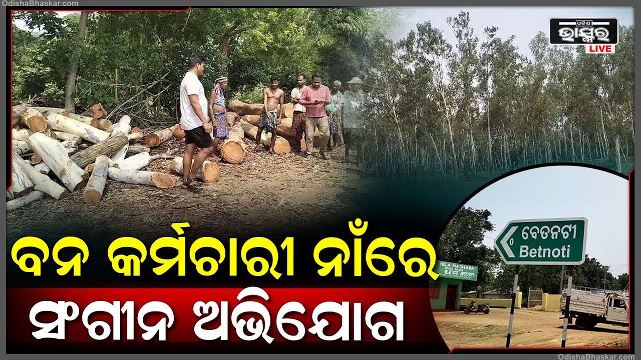 ବନବିଭାଗ ନାଁରେ ସାଙ୍ଘାତିକ ଅଭିଯୋଗ I କାଠଗଣ୍ଡି ଜବତ କରି ବେପାରୀଙ୍କୁ ବିକିଦେଲା ବନ ବିଭାଗ