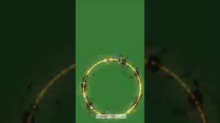Fire Ring Loop on Green Screen Background. Free Vertical Video Animation