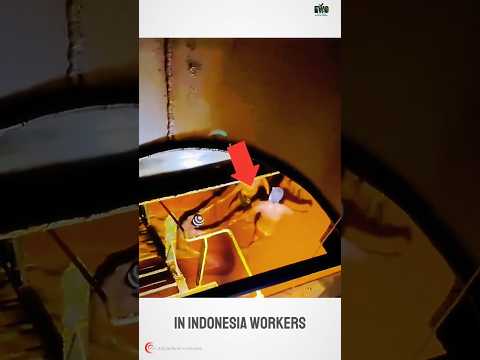 العمال المجهولون الذين ينظفون خزانات زيت النخيل حفاة وفي خطر فيلم وثائقي أفلام قصيرة أمريكية 