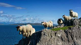 Celtic Meditation for Grounded Resilience Authentic Irish Spiritual Practice 6 Minutes