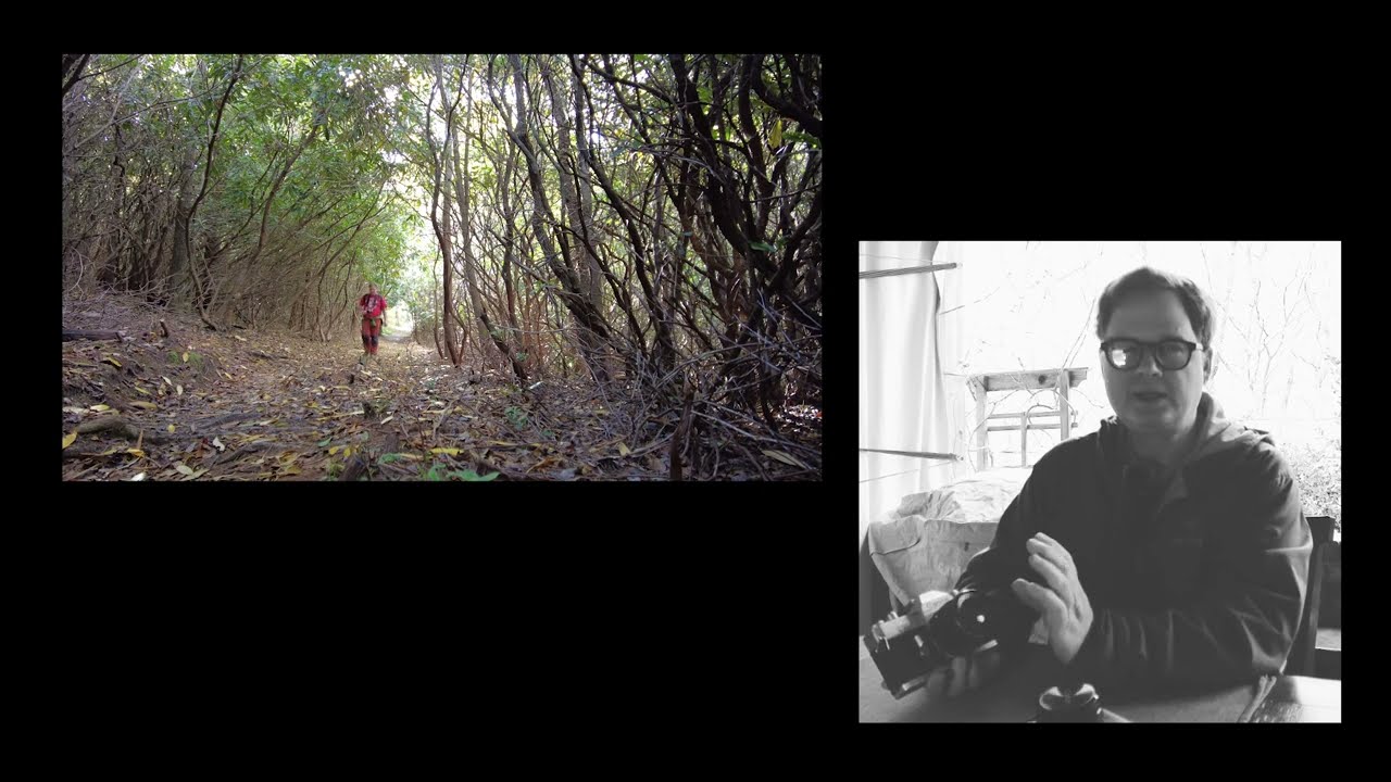 A look at the CANON TX 35mm film camera.