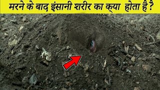 मरने के तुरंत बाद इंसानी   सरीर का किया होता है ?WHAT  REALLY HAPPENS IMMEDIATELY AFTER DEATH? screenshot 1
