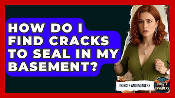 How Do I Find Cracks To Seal In My Basement? - Insects and Invaders