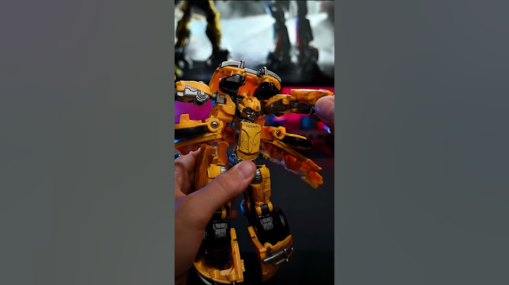 This Bumblebee make me crazy
