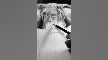 Hyper realistic elephant drawing1 #art #reels #drawing #sketch #painting #artist #artdrawing #shorts