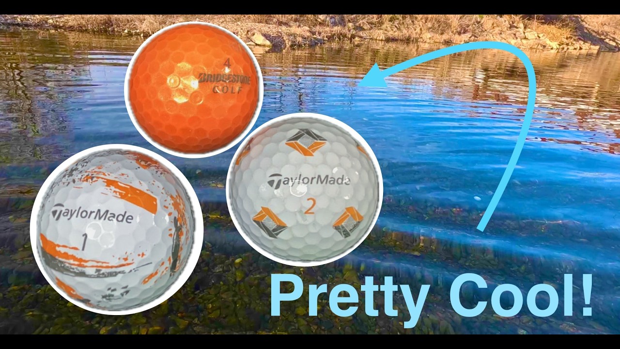 We Found A Nice Orange & Black Trio Tonight 👍