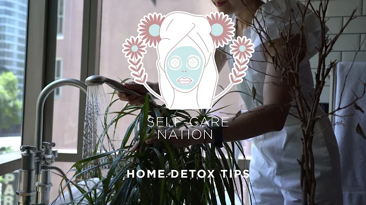 Home Detox Tips from Non Toxic Living Expert Sophi...