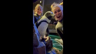 Happy Animal Care Appreciation Week!