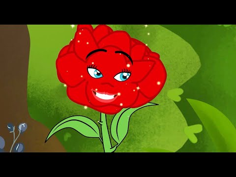 A Rosa Orgulhosa + A Guardadora de Gansos | Conto infantil | Desenho animado com Os Amiguinhos