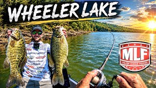 CUT MADE ($10K)!! MLF Pro Circuit | Wheeler Lake