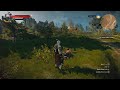 The Witcher 3: Velen unknown location #abhr84