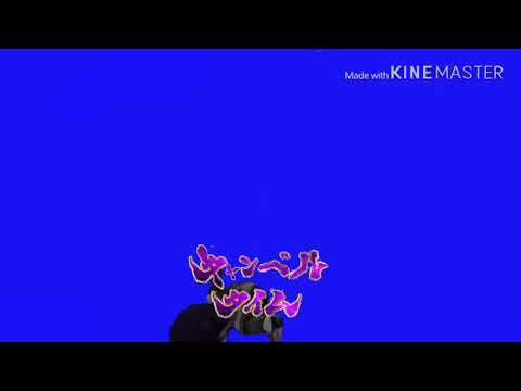 キ ャ ン ベ ル タ イ ム BB素材
