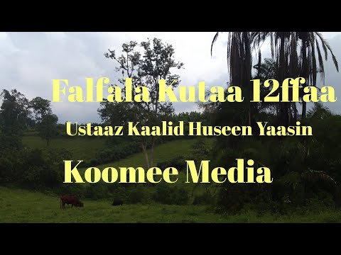Sihrii Falfala Kutaa 12ffaa Ustaaz Kaalid Huseen Yaasin 