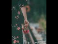 شيلاك في نن عيني حالات واتساب
