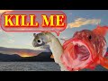 Philippines Sea Fishing Nagsasa Cove Get in!