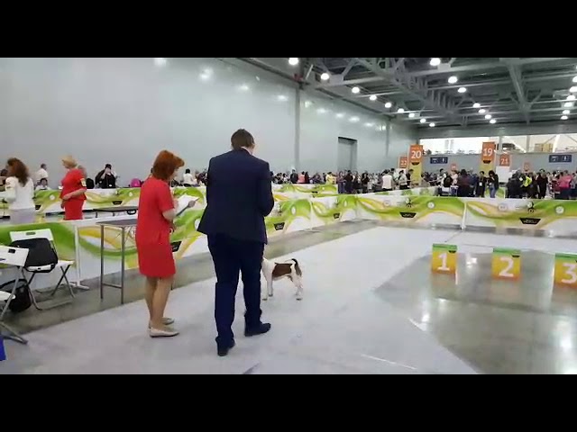 Мазовер Александр Павлович