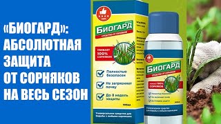 ЧЕМ ОБРАБОТАТЬ ГАЗОН ОТ СОРНЯКОВ