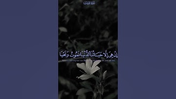 سورة المؤمنون "ياسر الدوسري " ❤️ #قرآن #قران_كريم #ياسر_الدوسري #ياسرالدوسري #سورة_المؤمنون #سعادة