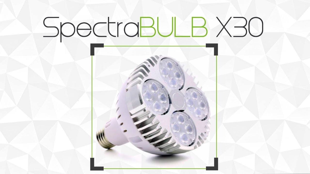SpectraBULB X30 - Fiche produit GreenVisuaLED