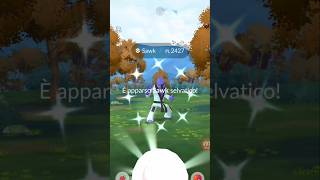 A wild Shiny Sawk appeared! #youtubeshorts #sawk #shinypokemon #pokemongo #shinyhunting  #shorts