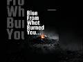 Even when life burns you down…something inside you refuses to die out. #HomesickDiaries#Rise #fyp
