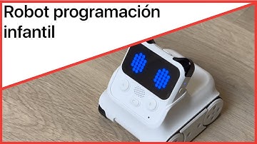 Codey Rocky 🤖 El robot perfecto para que los niños aprendan a programar