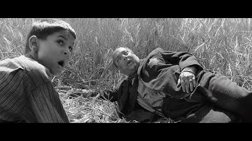 残酷すぎて途中退場者が続出した問題作…映画『異端の鳥』予告編