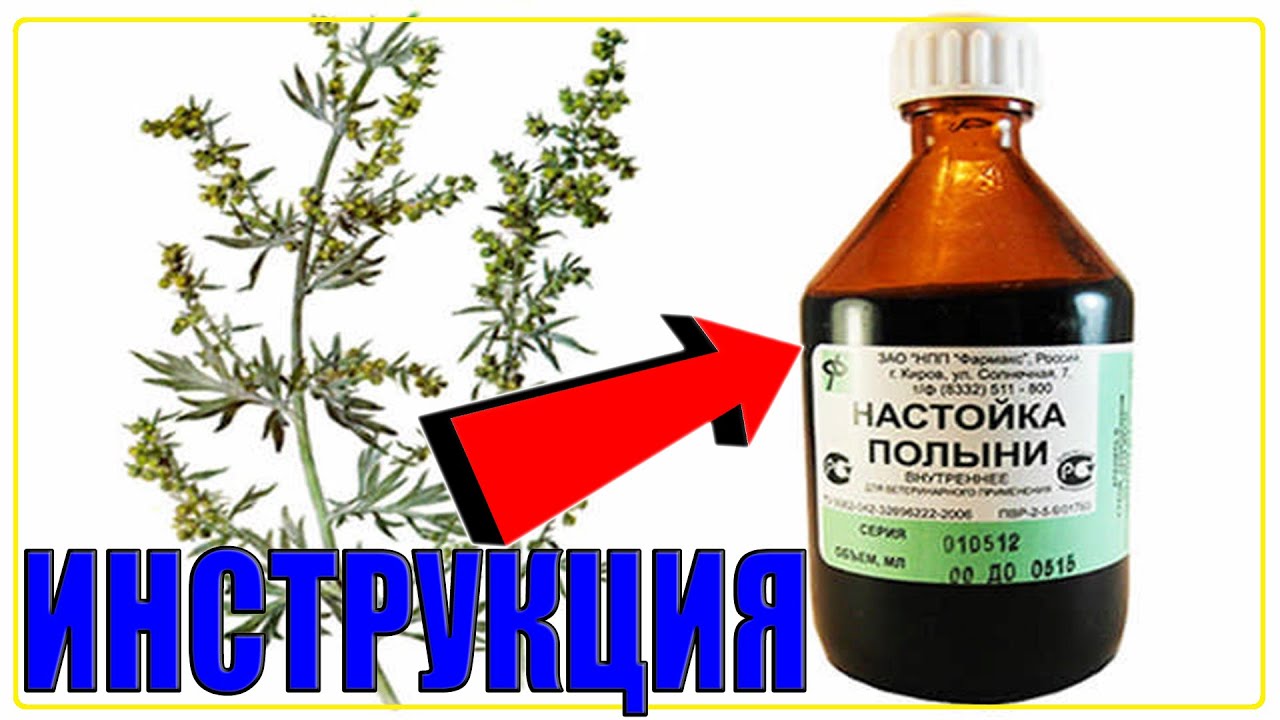 WORMWOOD TINCTURE INSTRUCTIONS FOR USE | WORMWOOD BENEFITS, HARM, PROPERTIES, CONTRAINDICATIONS (...