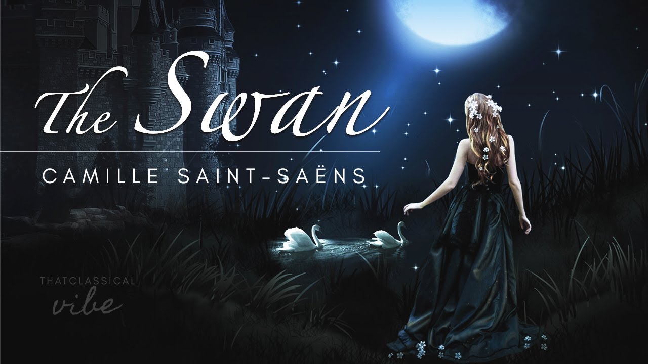 The Swan - Saint-Saëns extended (1 hour) The Swan - Saint-Saëns extended (1 hour)