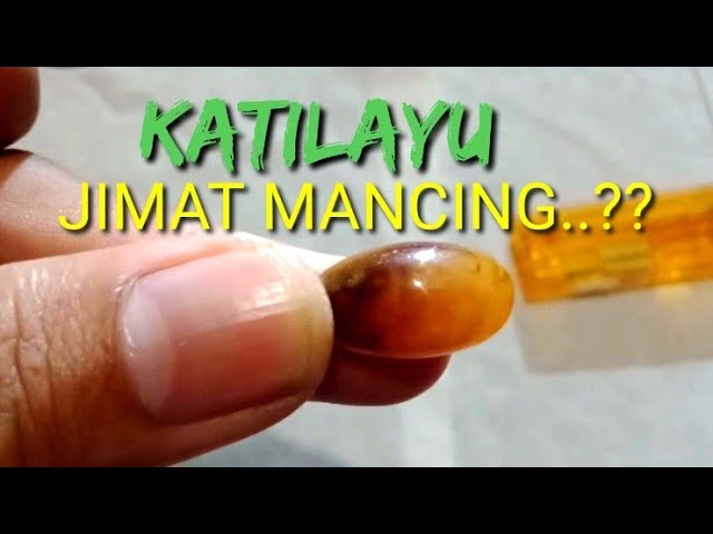 Batu KATILAYU untuk jimat mancing  Batu akik kilalayu amber 