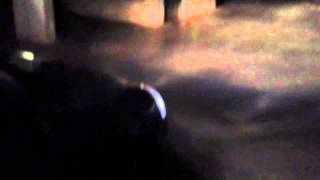 IMG 0634 MOV
