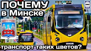 ❓Почему транспорт в Минске таких цветов? | Why are transport in Minsk of such colours?