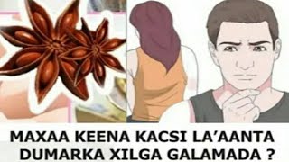 Maxaa Keena Dareyn Laaanta Dumarka Xilga Galamada Ama Damaca Galamada Yarado ?