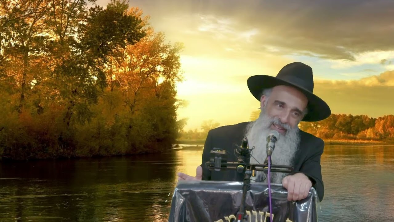הרב מאיר דוד שמואלי - זה מעכב את מלך המשיח